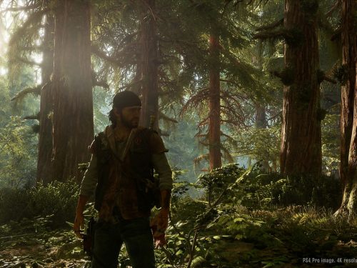 خرید بازی Days Gone