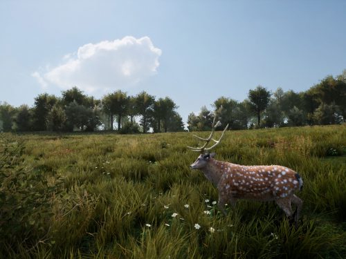 خرید بازی Hunting Simulator 2