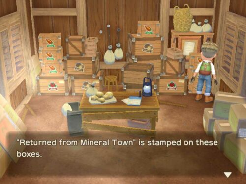 خرید بازی STORY OF SEASONS: A Wonderful life