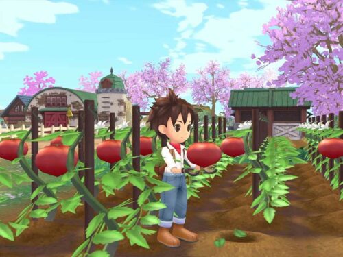 خرید بازی STORY OF SEASONS: A Wonderful life