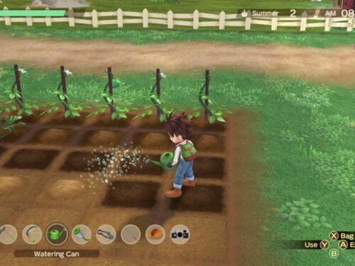 خرید بازی STORY OF SEASONS: A Wonderful life