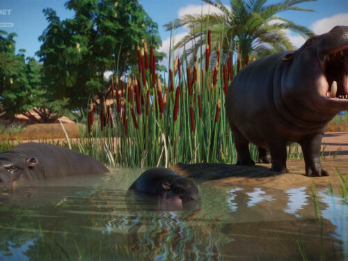 خرید بازی Planet Zoo