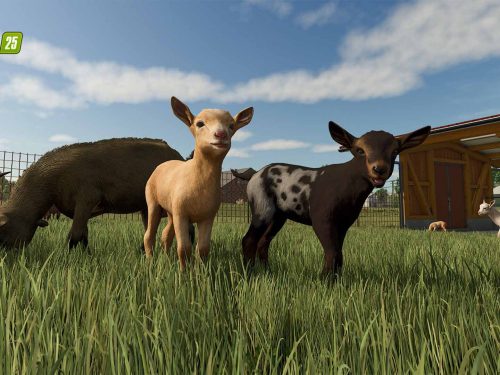 خرید بازی Farming Simulator 25