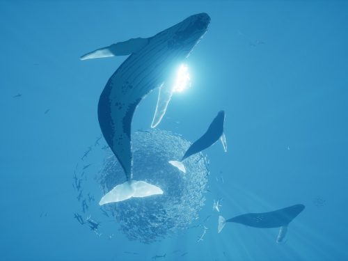 خرید بازی ABZÛ