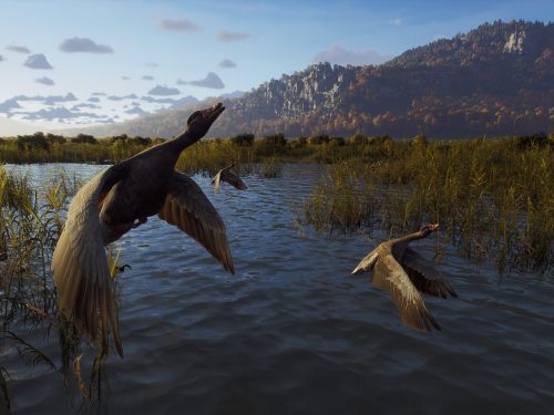 خرید بازی Way of the Hunter