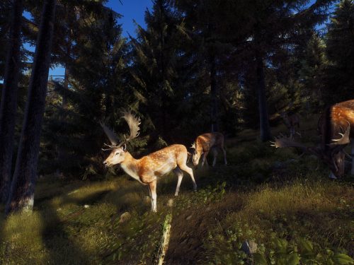 خرید بازی Way of the Hunter