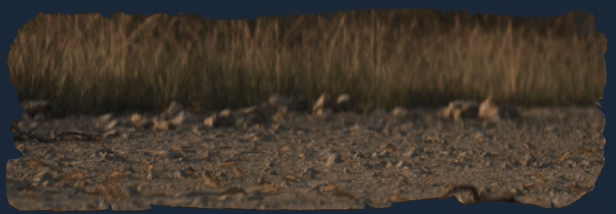 خرید بازی Mafia: The Old Country